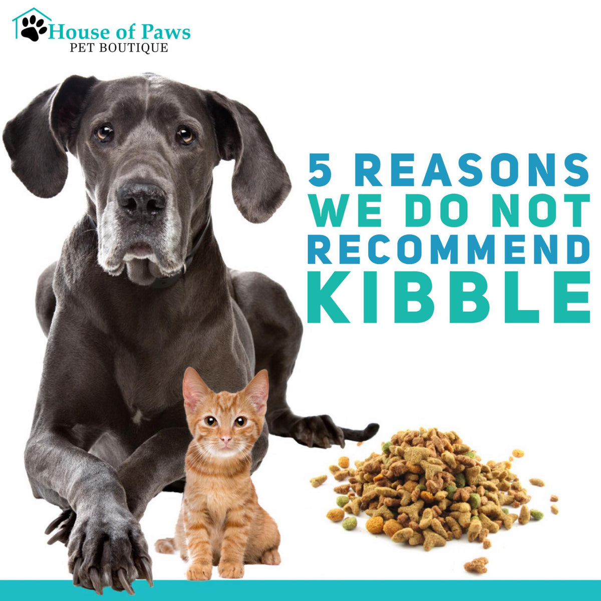 5 Reasons We Do Not Kibble House of Paws Pet Boutique