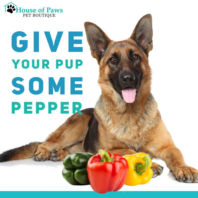 Give your pup some pepper