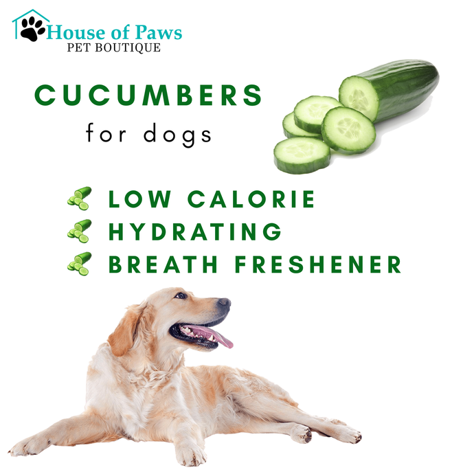 Give Your Pup Some Cucumbers