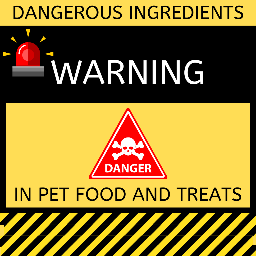 Top 5 Ingredients to Avoid in Your Pet's Food & Treats! House of Paws