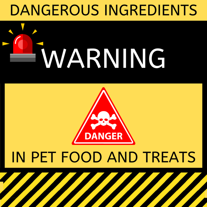 Top 5 Ingredients to Avoid in Your Pet's Food & Treats!