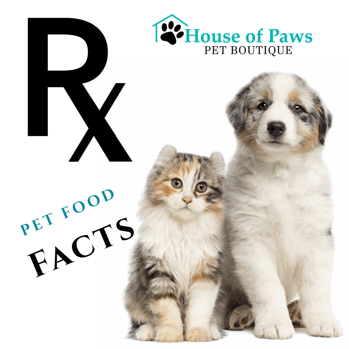 5 Facts About Prescription Pet Food House of Paws Pet Boutique