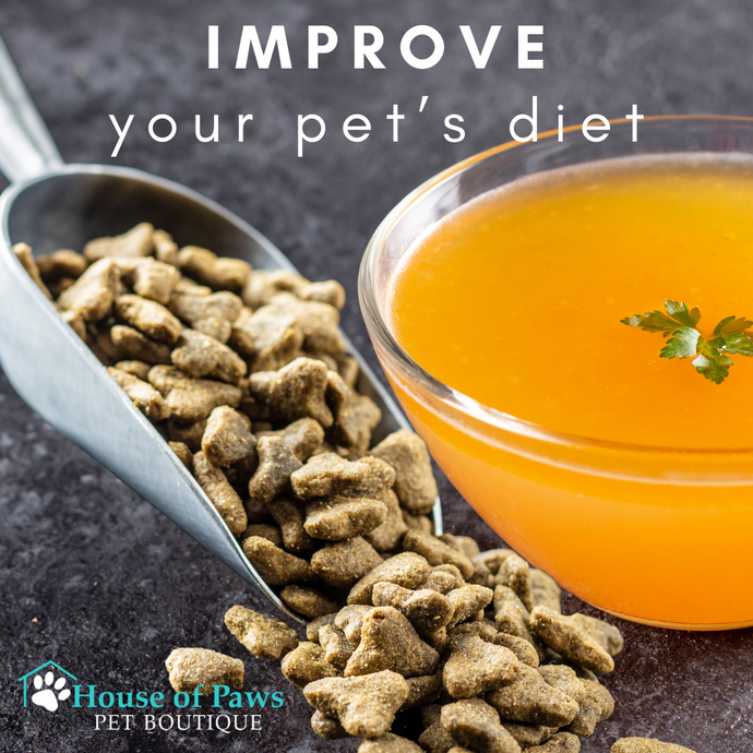 Easy and Affordable Ways to Improve Your Pet’s Diet