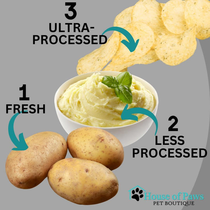 What Does Ultra-processed Pet Food Mean?
