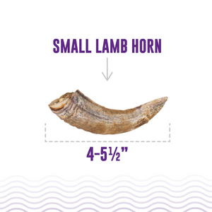 Icelandic+ Lamb Horn w/Marrow SM