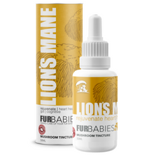 Load image into Gallery viewer, Furbabies Mushrooms - Lion's Mane