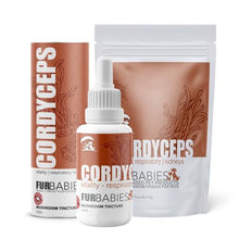 Load image into Gallery viewer, Furbabies Mushrooms - Cordyceps