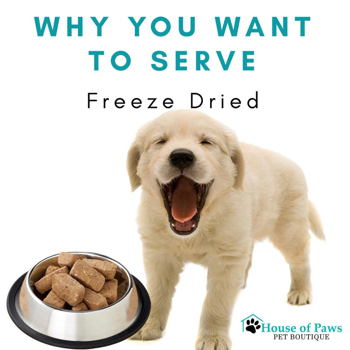 Why You Want to Serve Freeze Dried Raw