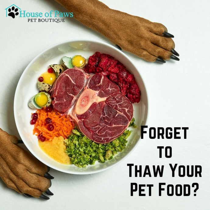 I Forgot to Thaw My Raw Pet Food! Now What?