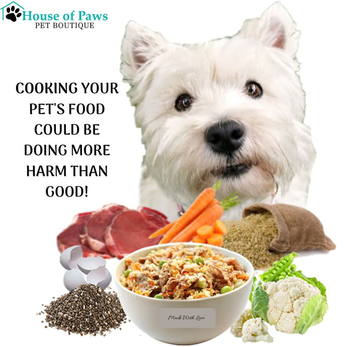 Why Cooking for Your Pet Could do More Harm than Good