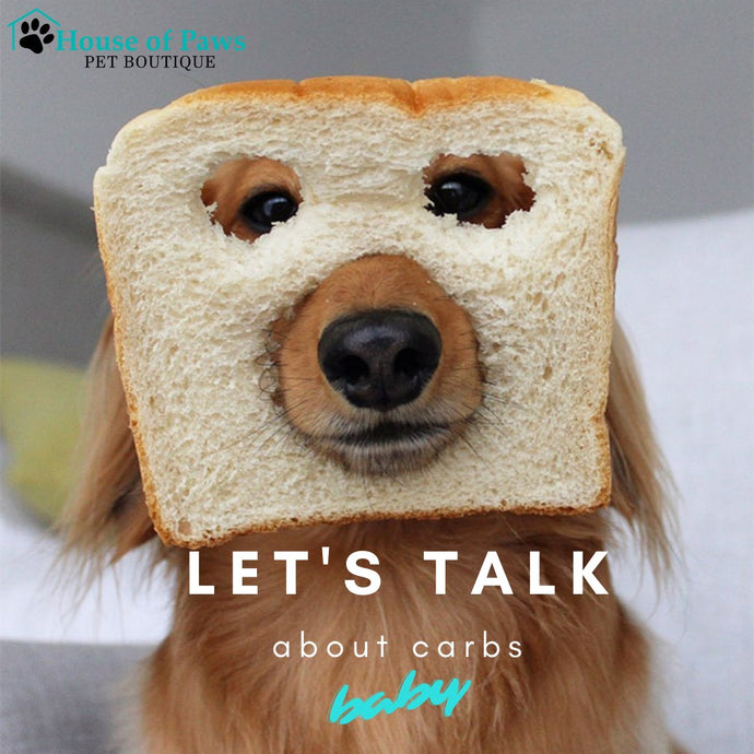 Are Carbs A Good Source Of Energy For Dogs And Cats?