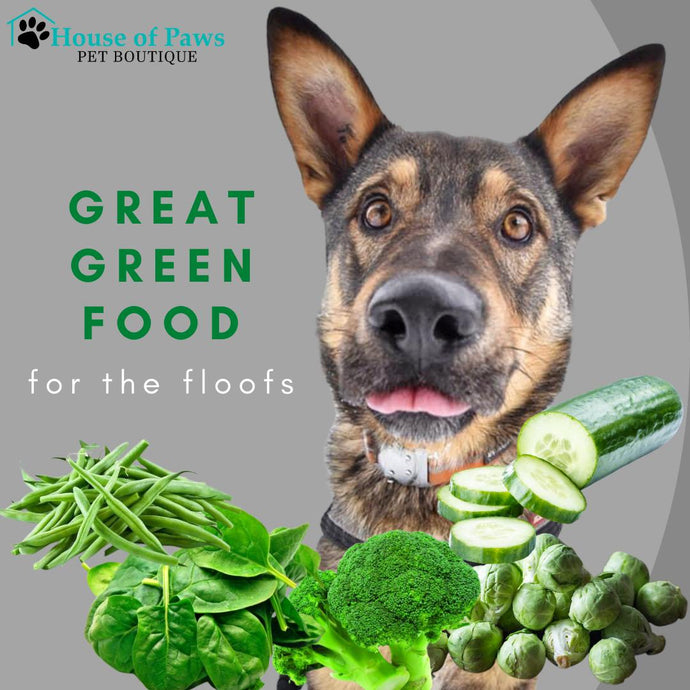 Green Nutrition Boosters For Pets