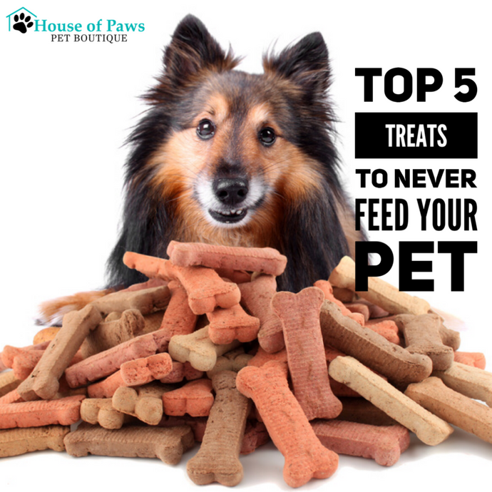 Top 5 Treats to Never Feed Your Pet