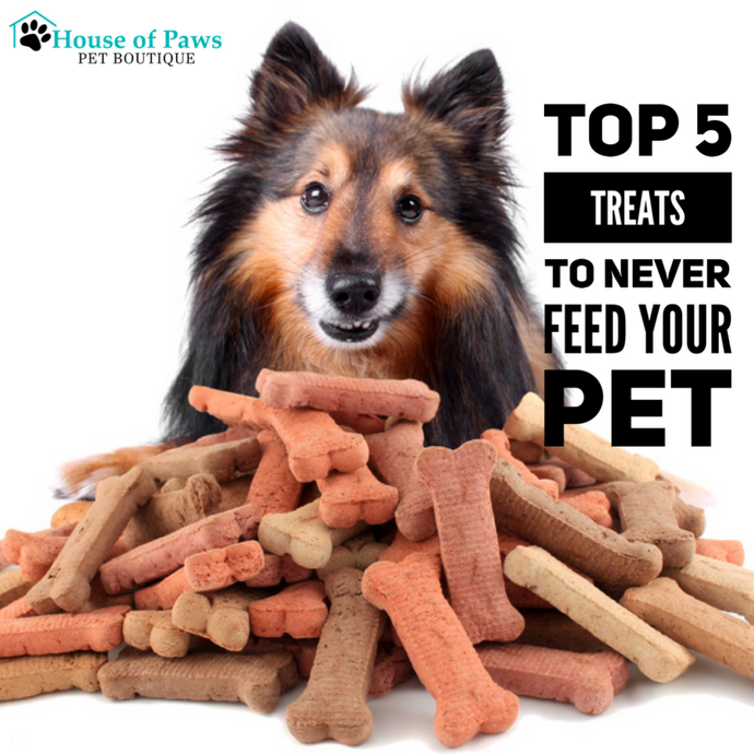 How much treats top to give a puppy
