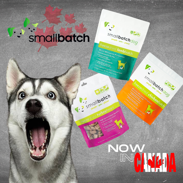 smallbatch premium raw pet food