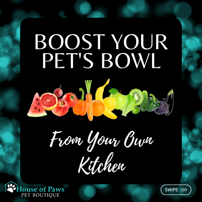 10 Ways to Improve Your Pet's Diet from Home