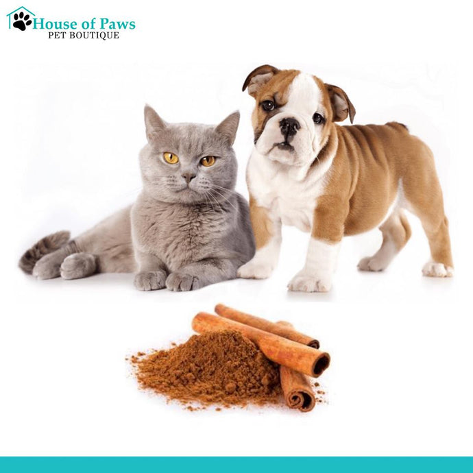 Do you have or know a pet that has diabetes?