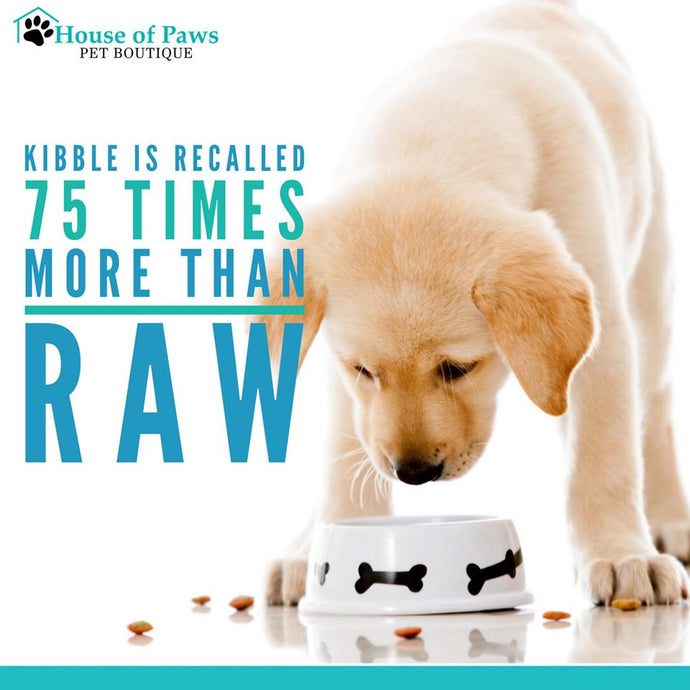 Kibble is recalled 75 times more than raw