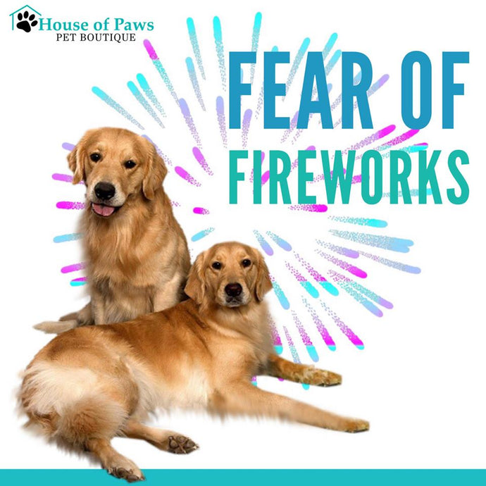Fear of fireworks