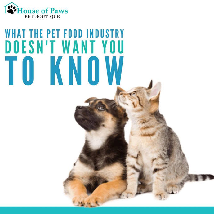 What the pet food industry doesn't want you to know