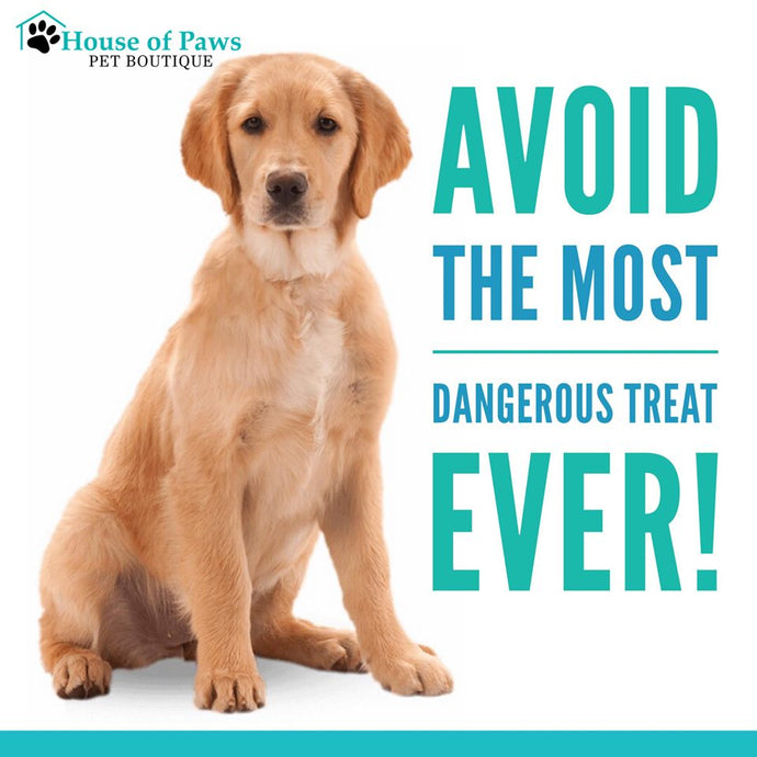 Avoid the most dangerous treat ever