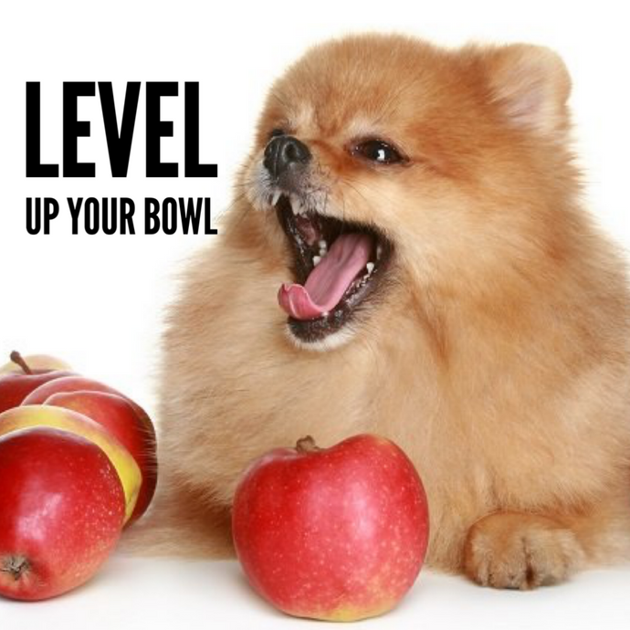 Level Up Your Bowl