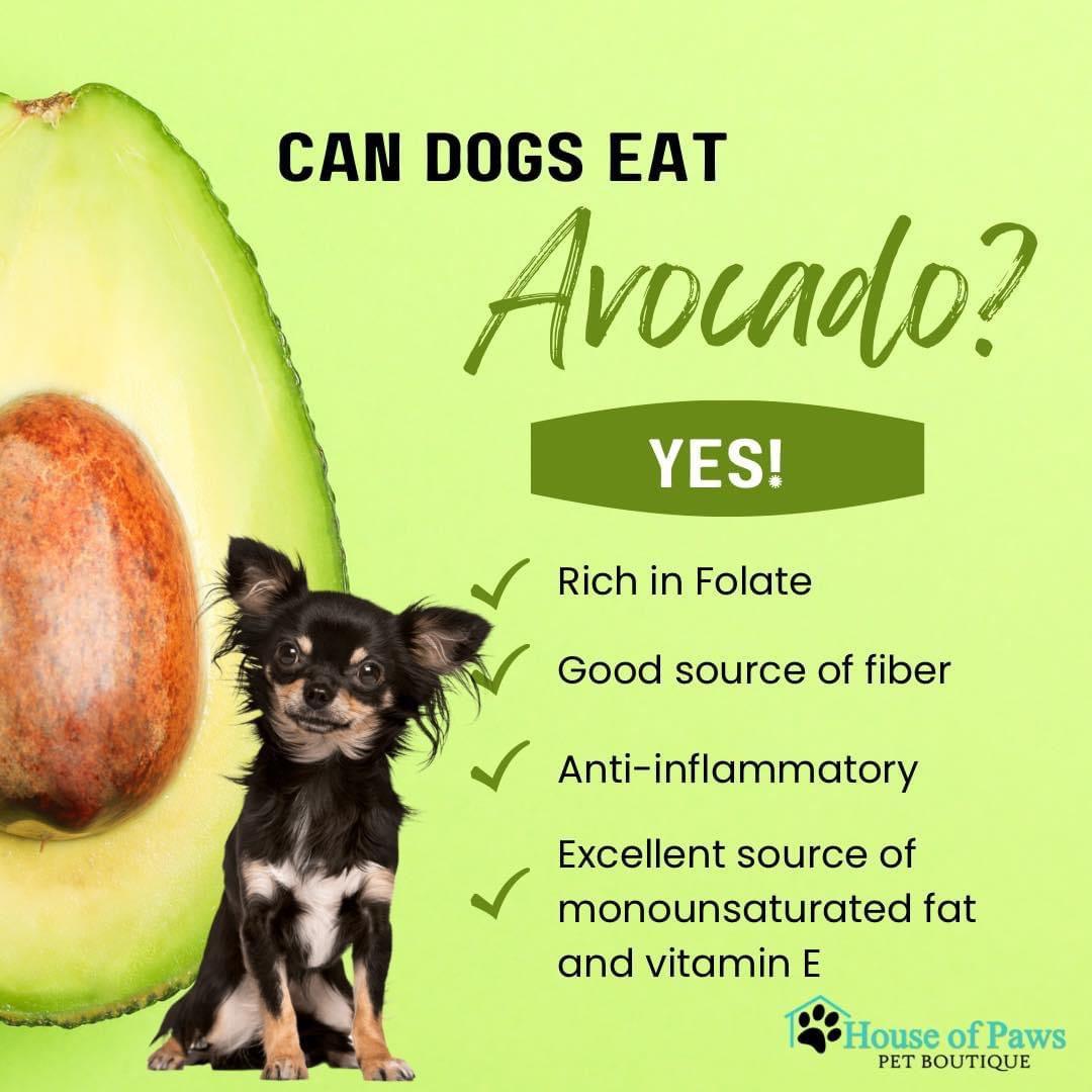 Avocado for clearance dogs