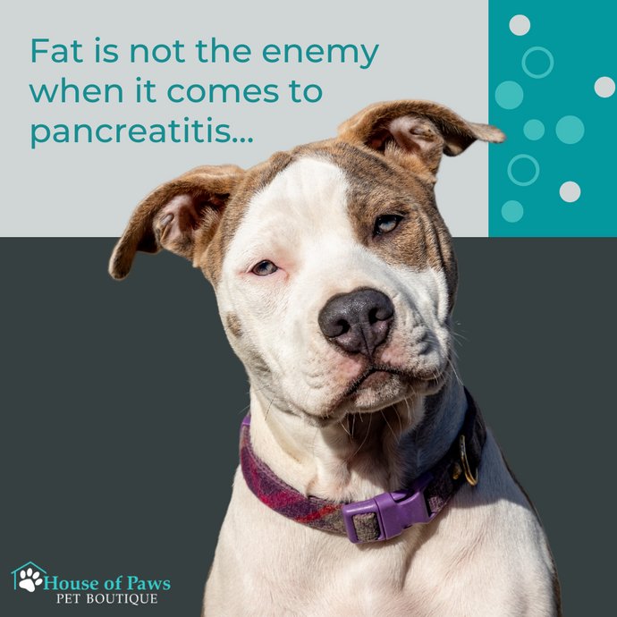 Fat Is Not the Cause of Pancreatitis! Can You Guess What Is?