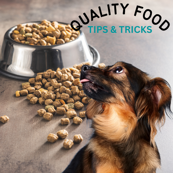 Honing Your Pet Food Picking Skills