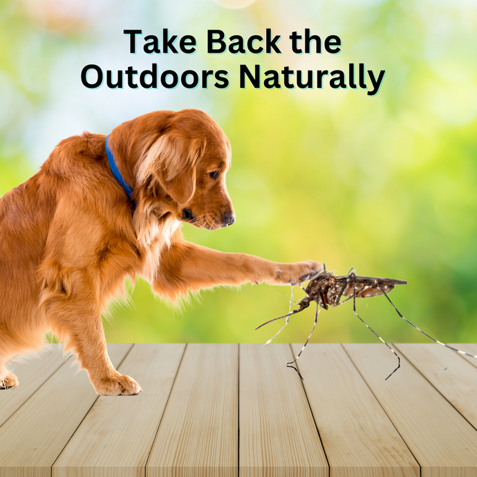 Take the Outdoors Back Naturally!