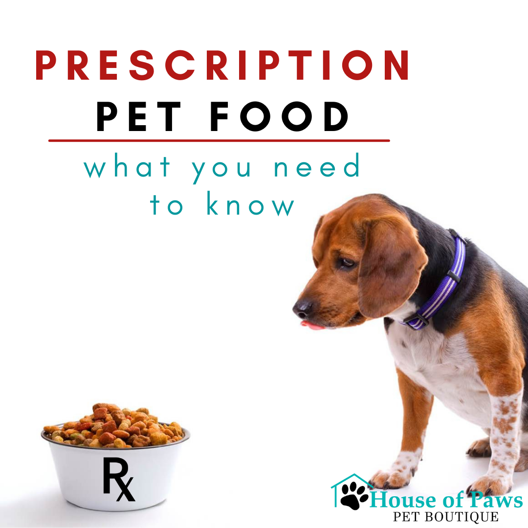 Are Prescription Pet Foods Actually Worth the Money House of