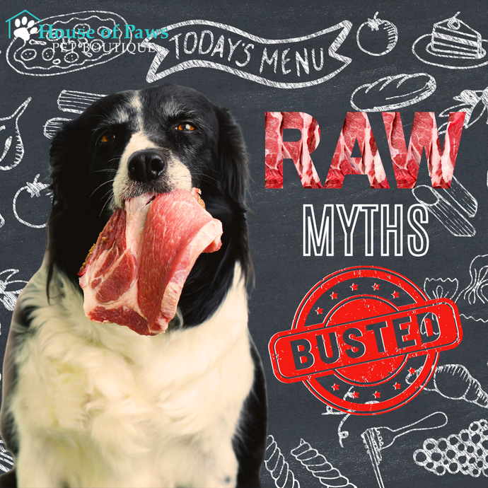 Busting Myths on Raw Feeding
