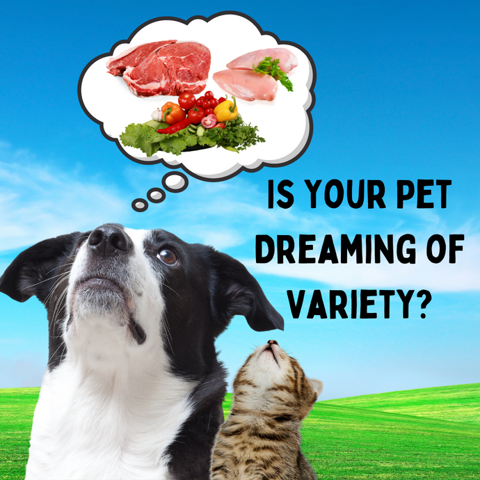 Unlock the Secret to Your Pet's Health by Rotating Your Pet Food Brand!