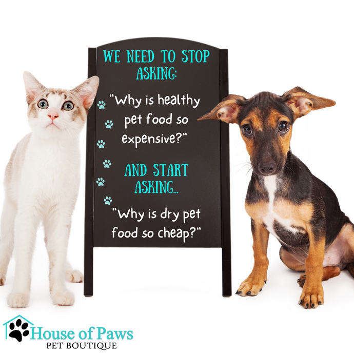 Is the Price of Your Pet Food Costing You Your Pet's Health?