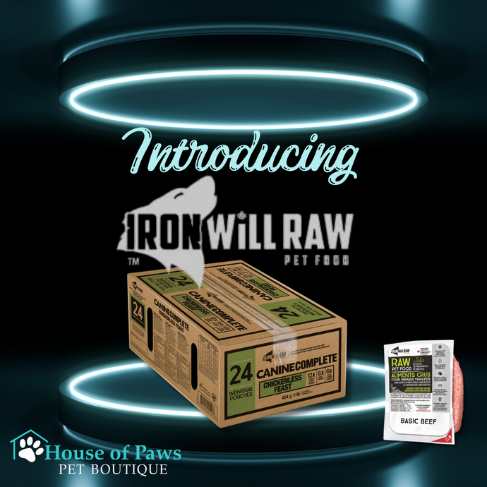 Why Your Pet Will Love Iron Will Raw