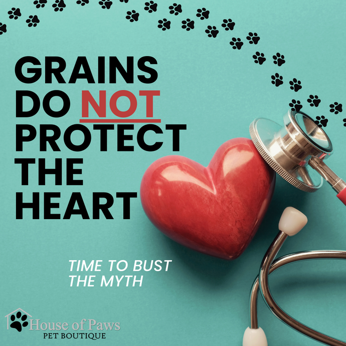 Grains Do Not Protect the Heart