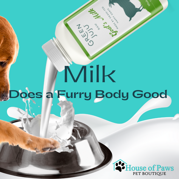 Raw goat milk pet stores Regina