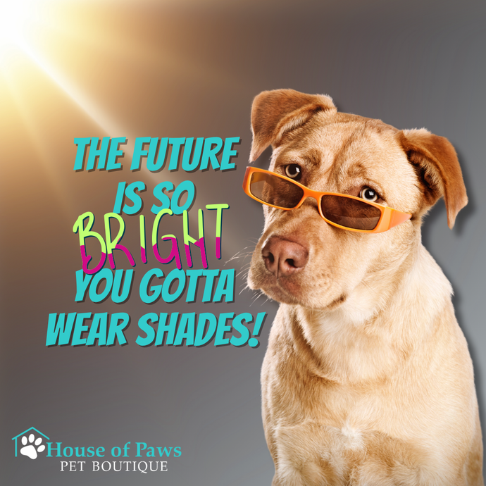 The Movement Pet Parents Demanded from the Pet Industry