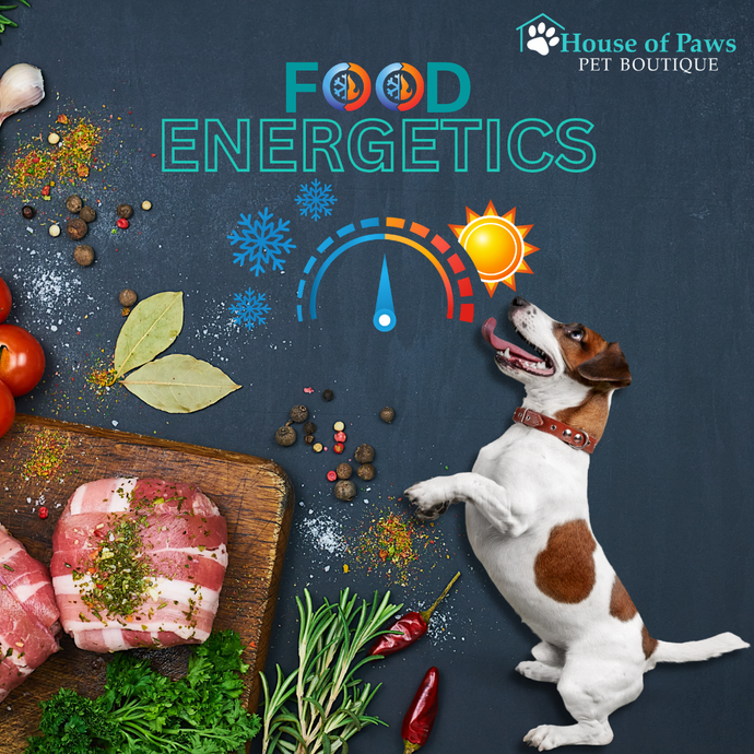Crash Course in Food Energetics for Dogs