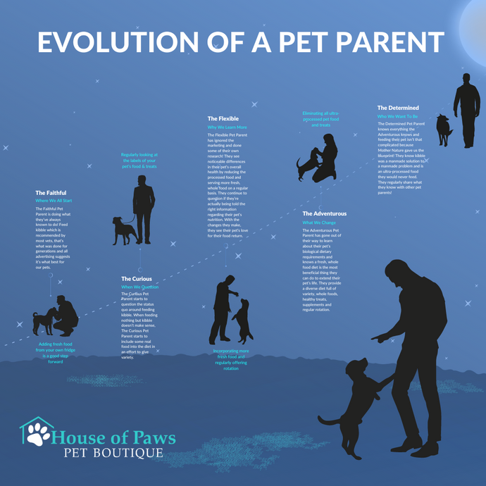 Where Are You in the Evolution of a Pet Parent?
