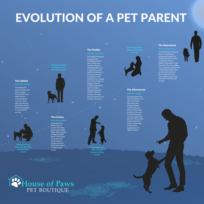 Illustration of Projects Every Pet Parent Stumbles Upon