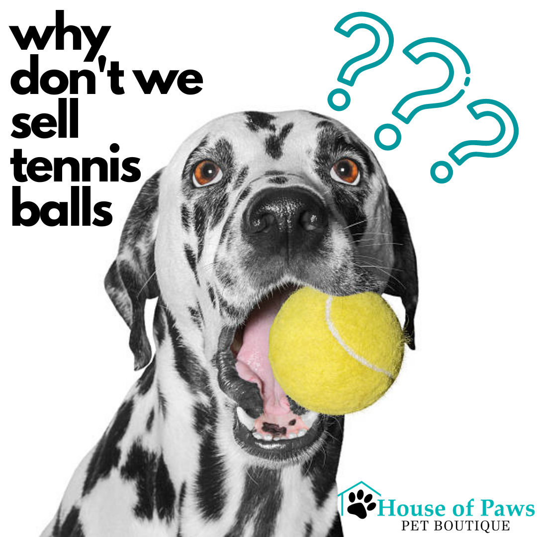 Are Tennis Balls Safe for Dogs House of Paws Pet Boutique