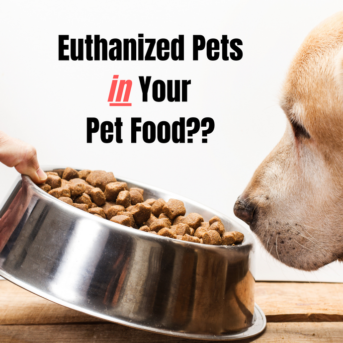 Euthanized Pets in Your Pet Food