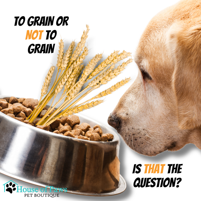 To Grain or Not to Grain...Is That the Question?
