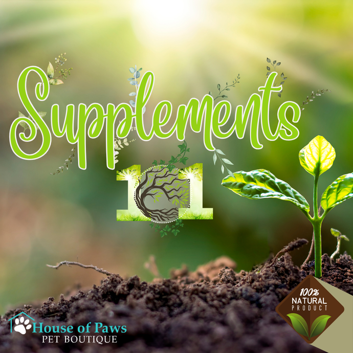 Crash Course in Natural Pet Supplements Without the Confusion