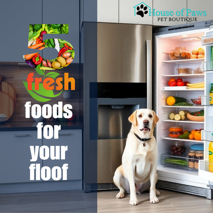 Easily Boost Your Pet’s Bowl