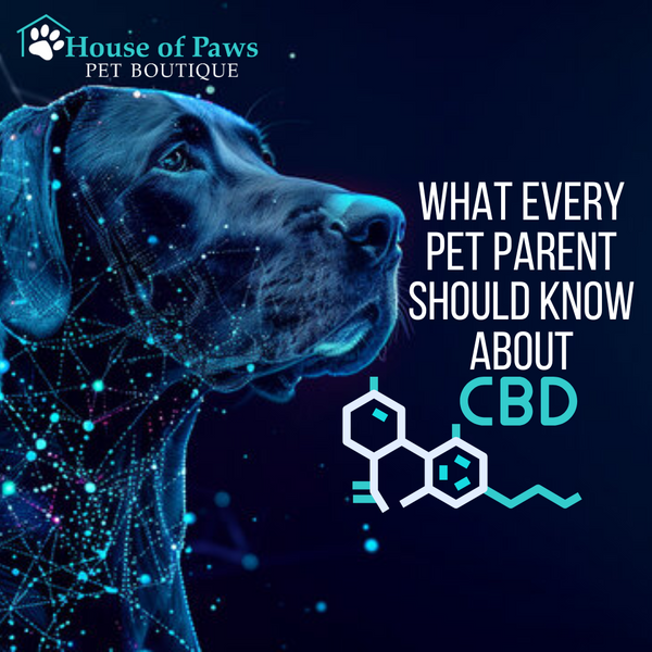 CBD for Dogs and Cats