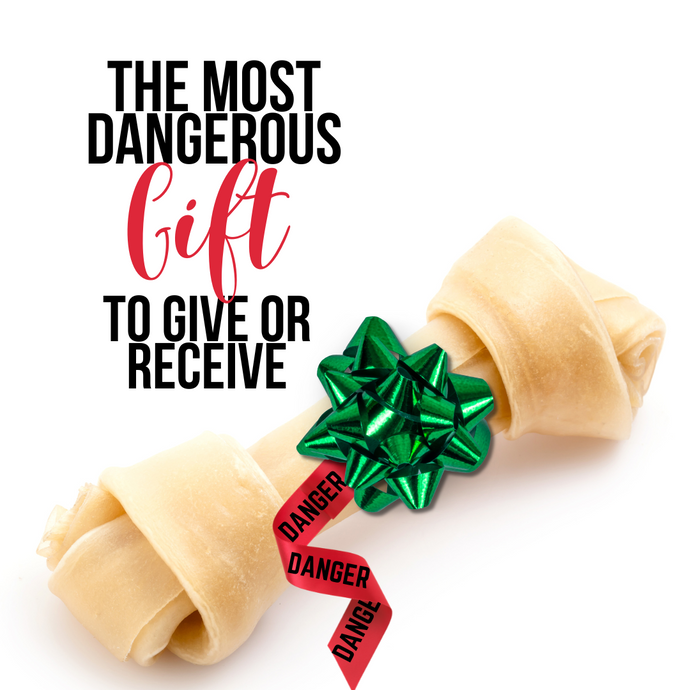 Avoid the Most Dangerous Dog Gift This Holiday Season