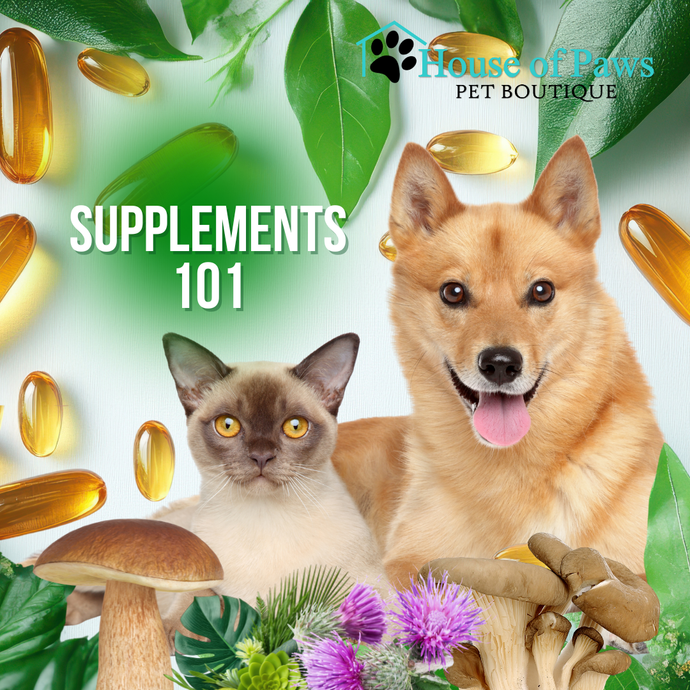 How to Tell if a Supplement Is Actually Doing Its Job