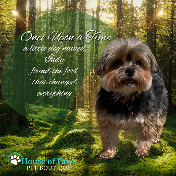 She'd Had 4 Surgeries by Age 5 😢 Until Everything Changed 🤩